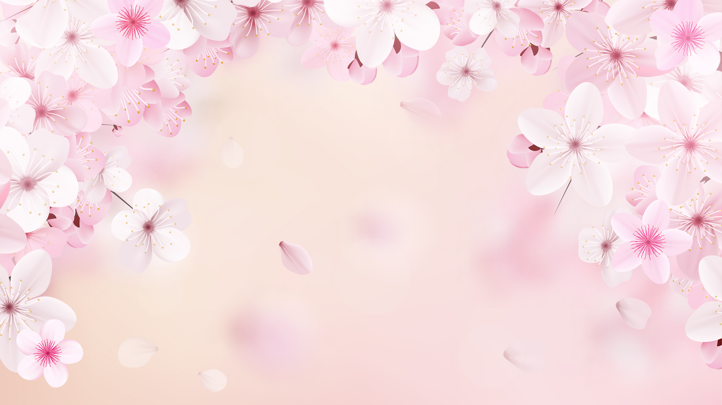 Sakura Cherry Background