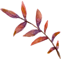 Watercolor Autumn Shape.