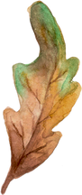 Watercolor Autumn Shape.